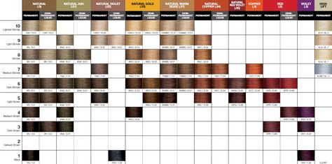 Pravana Color Chart, Joico Color Chart, Paul Mitchell Color Chart, Professional Hair Color Chart, Mixing Hair Color, Joico Hair Color, Pravana Hair Color, Matrix Hair Color, Hair Color Swatches