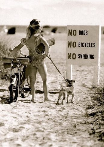 Kids Behavior, Jolie Photo, 인물 사진, A Sign, Beach Photos, White Photography, Black And White Photography, Funny Photos, Make Me Smile