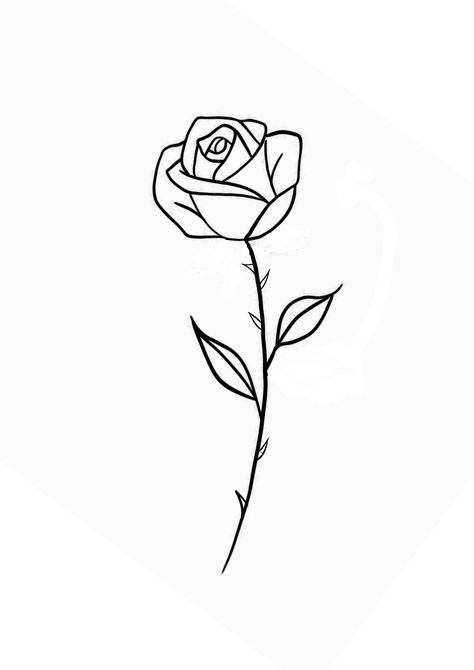 Rose Tattoo Men Simple, Prim Rose Tattoo, Rose Tattoo Men Stencil, Thorns And Roses Drawing, Simple Rose Tattoo Design, Small Rose Tattoo Simple, Simple Rose Outline, Rose With Stem Tattoo, Simple Rose Design