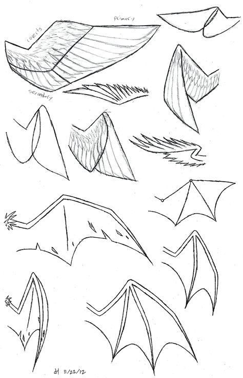 how to draw folded dragon wings | Wing Study by VibrantEchoes Anime Wings, Drawing Wings, Dragon Ears, Drawing Dragons, Wolf Ears And Tail, Draw Wings, Wolf Ears, Wings Drawing, Dragon Sketch