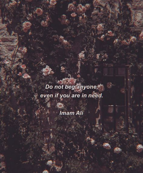 Do not beg anyone even if you are in need Hazrat ali Ali Quotes Hazrat, Mola Ali Quotes, Mola Ali Quotes In English, Iphone Wallpaper Islamic Quotes, Hazrat Ali Quotes, Begging Quotes, Imam Ali Quotes In English, Hazrat Ali Quotes About Love, Quotes By Hazrat Ali