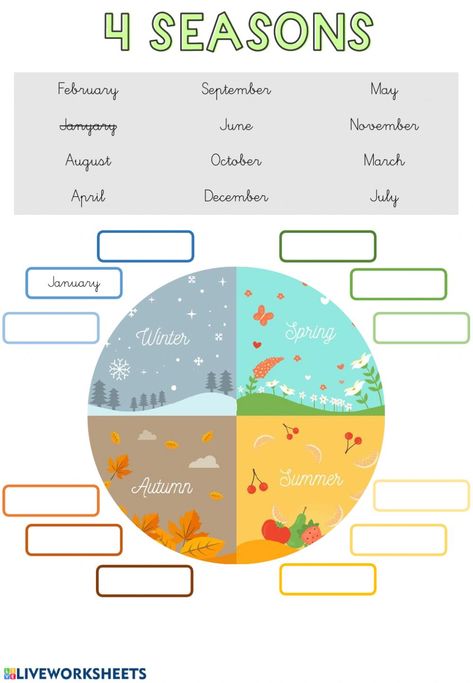 Months of the year online worksheet. You can do the exercises online or download the worksheet as pdf. Season Worksheet, Months And Seasons, Seasons Lessons, Seasons Worksheets, Worksheet For Preschool, Seasons Months, Seasons Activities, Learning English For Kids, English Worksheets For Kids