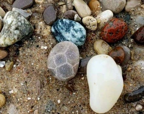 Leland Blue Stone, Hunting Guide, Lake Michigan Beaches, Michigan Beaches, Rock Hunting, Petoskey Stone, Michigan Travel, Hexagon Pattern, Nature Preserve