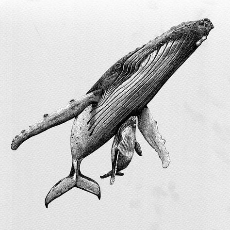 Humpback Whales. Ink Drawings Fineliner Animals. Click the image, for more art from Last Maps. Ocean Sleeve Tattoos, Nature Tattoo Ideas, Underwater Drawing, Whale Drawing, Whale Tattoos, Nature Tattoo, Ocean Tattoos, Instagram Illustration, Tatuaje A Color