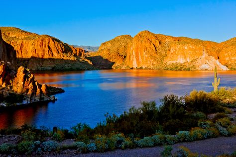 There are so many wonderful spots in Arizona to enjoy, but the small Canyon Lake in Arizona is one beautiful place to adventure. With Canyon Lake Arizona, Van Traveling, Desert Drive, Sedona Arizona Travel, Arizona Lakes, Arizona Grand Canyon, Texas Lakes, Summer Roadtrip, Day At The Lake