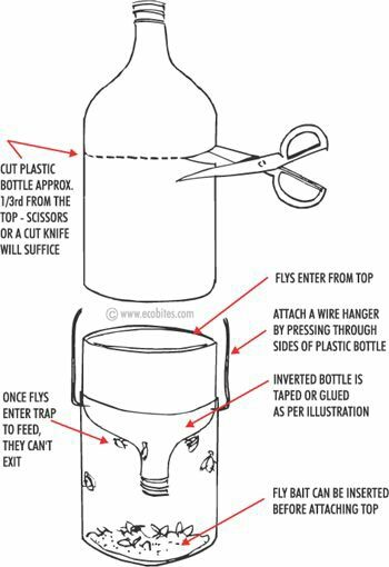 DIY Soda Bottle Fly Trap Diy Fly Trap, Wasp Traps, Fly Bait, Fly Trap, Venus Fly Trap, Fly Traps, Wasp, Pest Control, Household Hacks