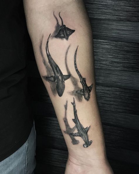 Rosen Tattoo Mann, Hammerhead Tattoo, Shark Tattoo Ideas, Shark Tooth Tattoo, Creatures Of The Deep, Animal Tattoos For Men, Hammerhead Sharks, Tooth Tattoo, Shadow Tattoo