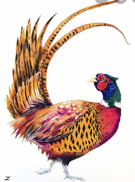 Pheasant Painting, Flamingo Artwork, Vintage Bird Illustration, Eagle Images, Bird Watercolor Paintings, Winter Birds, Colour Art, Bird Quilt, Paper Ring