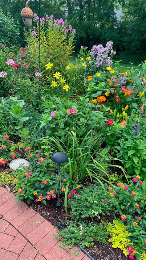 bright lantana (Lantana camara, Zones 9–10 or as an annual) echoes the glowing colors of the big daylily (Hemerocallis hybrid, Zones 3–9) behind it Zinnias Garden, Cut Flower Garden Layout, Flower Garden Layout, House Gardening, Zinnia Garden, Daylily Garden, Gardening Design, Gardening Landscaping, Garden Idea