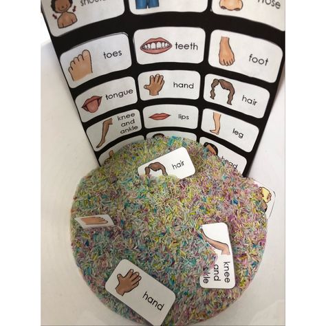 My Body Sensory Bin, All About Me Sensory, All About Me Sensory Bin, Sensory Buckets, Teal Room, I Make No Apologies, All About Me Preschool Theme, Sensory Tables, Me Preschool Theme