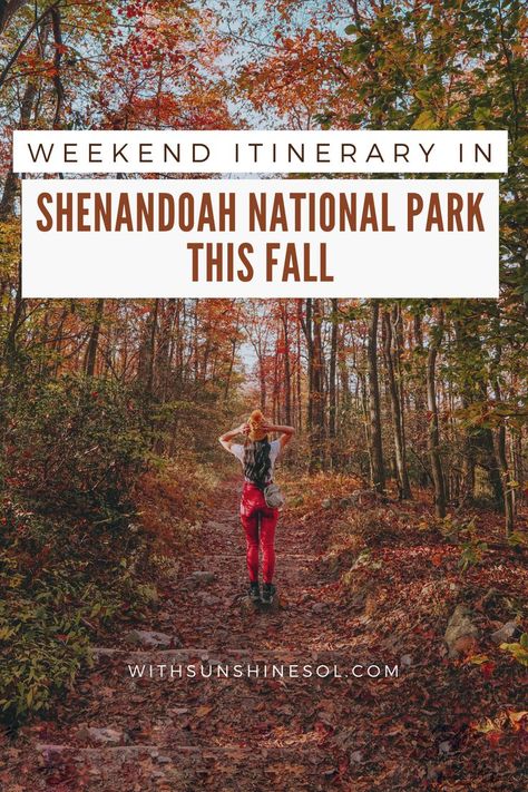 Fall Weekend Itinerary in Shenandoah National Park Shenandoah National Park Virginia, Things To Do Near Shenandoah National Park, Shenandoah National Park Itinerary, Shenandoah National Park Hikes, Things To Do In Shenandoah National Park, Best Hikes In Shenandoah National Park, Shenandoah National Park Fall, Shanadoah National Park, Hiking Virginia