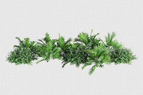 Hedge Illustration, Plants Elevation, Plants Photoshop, Plants Architecture Photoshop, Plant Top View Png, Trees Photoshop Plan, 2d Plants Top View, Wall Plant Pot, Photoshop Landscape