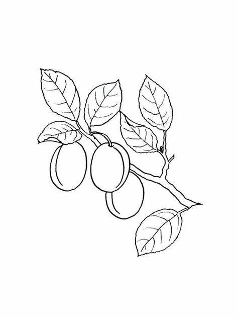 Plum Tree Tattoo, Plum Drawing, Jujube Tree, Preschool Pictures, Fnaf Coloring Pages, Valentine Coloring Pages, Notes Ideas, Plum Tree, Valentine Coloring