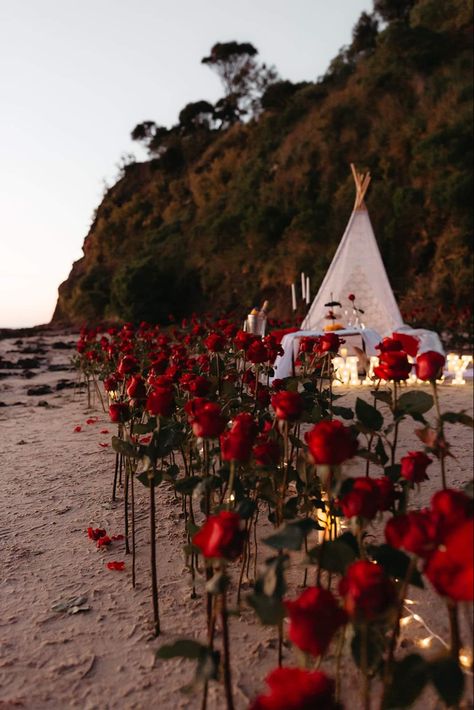 500 Red roses surrounding a fairy lit beach tent Flowers In Sand Proposal, Flower Garden Proposal, Proposal Setups, Private Proposal Ideas, Roses Proposal, Flower Proposal, Chaotic Trio, Beach Proposals, Unique Proposal Ideas