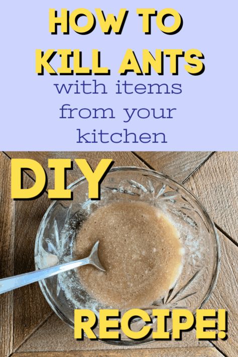 Ants: Get Rid Of Them & Their Nest Fast, The Non-Toxic Way. It is possible to make a homemade ant trap using boric acid powder and sugar. These traps are effective against ants, cockroaches, and silverfish. #killants #killantsintheyard #killantsinthegarden #killantswithvinegar #killantswithbakingsoda #killantsborax #killantscornmeal #anttrap #killantsnaturally #killantsfast #killantsnaturally Diy Ant Trap, Kill Ants Naturally, Borax For Ants, Ant Killer Recipe, Sugar Ants, Ant Spray, Ant Infestation, Kill Ants, Rid Of Ants