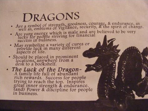 The symbolic meaning of dragons... Dragon Tattoo Face, Pagan Homeschooling, Dragon Magick, Dragon Meaning, Dragon Tattoo Meaning, Dragon Quotes, Dragon Energy, Wood Dragon, Fire Breather