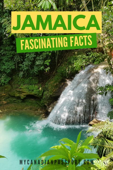 Jamaica Facts, Things To Do In Jamaica, Canadian Passport, Visit Jamaica, Jamaica Vacation, Kingston Jamaica, Jamaica Travel, Central America Travel, Ocho Rios