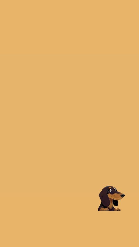 Dachshund Wallpaper Iphone, Daschund Wallpaper, Dachshund Aesthetic, Dachshund Wallpaper, English Cream Dachshund, Tennis Wallpaper, Dachshund Cartoon, Cream Dachshund, Dog Wallpapers