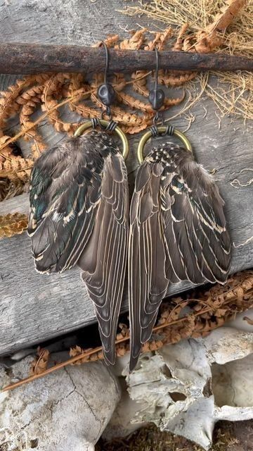 Bird Wing Taxidermy, Vulture Culture Outfit, Oddity Art, Animal Skull Decor, Wings Feathers, Oddities Decor, Taxidermy Art, Vulture Culture, Bone Crafts