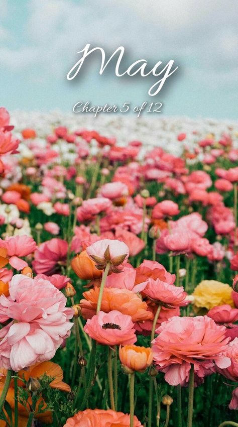 May Chapter 5 Of 12 Wallpaper, April Chapter 4 Of 12 Wallpaper, May Chapter 5 Of 12 Month, May Chapter 5 Of 12, May Aesthetic Month, May Background, Months Wallpaper, Hello January Quotes, May Wallpaper