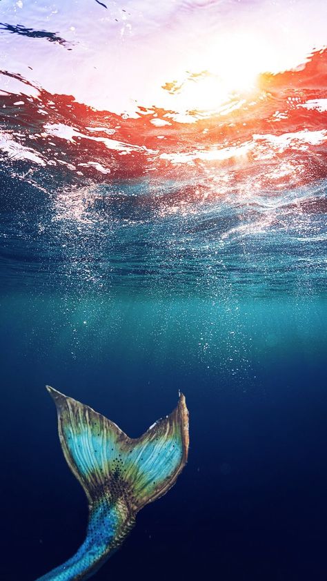 Mermaid Background, Mermaid Wallpapers, Iphone Wallpaper Stills, Mermaid Pictures, Mermaid Aesthetic, Mermaid Dreams, Whatsapp Wallpaper, Mermaid Life, Ocean Wallpaper