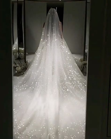 Layered Sparkly Wedding Dress, Billionaire Wedding Dresses, Brides Vail Long, Wedding Dress With Lights, Wedding Dresses With Lights, Stark White Wedding Dress, Sparkly Wedding Vails, Winterwonder Land Wedding Dress, Wedding Veils With Ballgown Dress