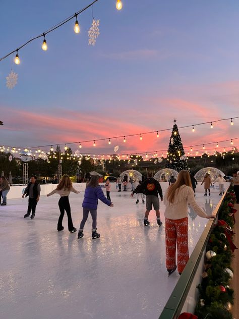 Ice Skating Moves, Best Christmas Destinations, Dancing On Ice, Christmas Destinations, Doing Something, Christmas Activities, Your Pet, Ice Skating, Skating