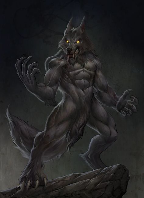 Dawn Of Monsters Werewolf Series by Omega Studios — Kickstarter Werewolf Vs Vampire, Werewolf Drawing, Werewolf Illustration, Female Werewolves, Werewolf Girl, Werewolf Aesthetic, Humanoid Creatures, Werewolf Art, Vampires And Werewolves