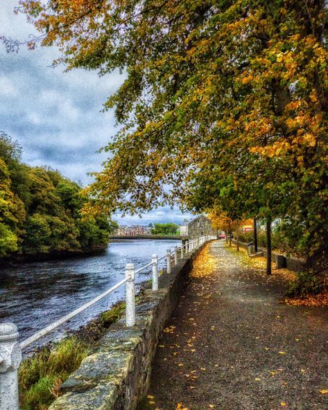 Toni Rae on Instagram: “Ramelton is always a charming little town, but in the autumn, she's an absolute stunner. ❤ ° ° ° ° ° ° ° ° ° ° #ramelton #irish_daily…” Irish Town, Local Art, Changing Seasons, Country Life, Time Of The Year, Travel Fun, I Am Awesome, Paintings, Wonder