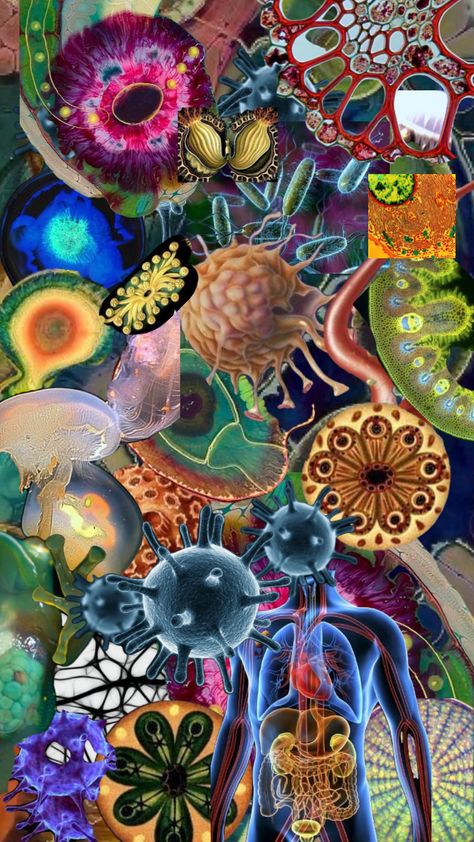 Biology Images, Synthetic Biology Art, Cells Aesthetic Biology, Cells Through Microscope, Stem Cells Art, Cells Biology, Molecular Biology Wallpaper, Cellular Biology Aesthetic, Cell Biology Aesthetic