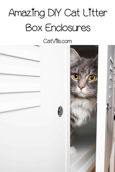 Closet Cat Litter, Cat Litter Box In Tiny House, Diy Litter Box Enclosure Ikea Hacks, How To Hide A Cat Litter Box Kitty, Elevated Cat Litter Box Ideas, Creative Cat Litter Solutions, Cat Litter Enclosure Diy, Conceal Litter Box Ideas, How To Build A Cat Litter Box Enclosure