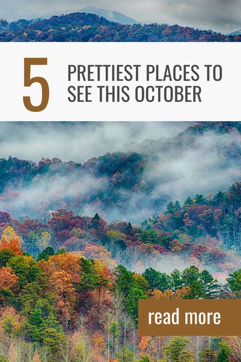 We’ll take you through some of the best places to visit in October in USA during this enchanting month, from the colorful landscapes of New England to the cultural hotspots of the South.

Whether you’re looking to experience breathtaking fall foliage, join in on festive Halloween events, or enjoy mild temperatures ideal for outdoor adventures, October offers it all. Fall Places, Halloween Events, Fall Getaways, Cades Cove, Ghost Tour, Olympic National Park, Scenic Drive, Coastal Towns, Colorful Landscape