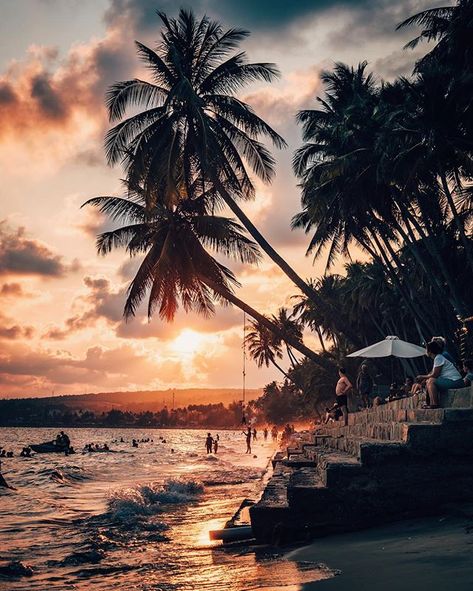 Sunset on the beach #Mui Ne #Vietnam #travel #phanthiet #beach #palmtree #fishing #southeastasia #sand #chasingsunsets Sunset On The Beach, Aesthetic Picture, Epic Journey, On The Road Again, Vietnam Travel, Plan Your Trip, Beach Photography, Instagram Pictures, Southeast Asia