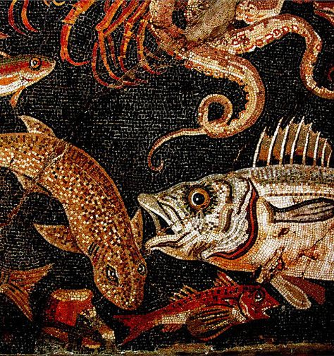 Detail of mosaic from Herculaneum, taken by Hans Ollermann Pompeii And Herculaneum, Roman Mosaic, Mosaic Stained, Roman History, Roman Art, Art Antique, Ancient Artifacts, Ancient Cultures, Pompeii