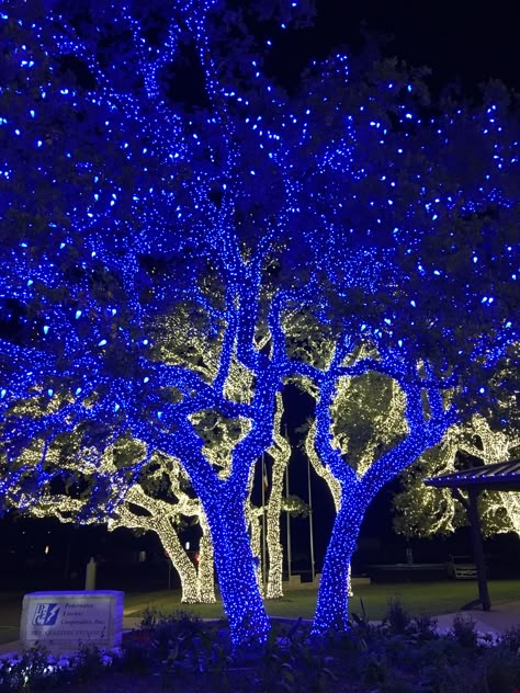 Johnson City Texas, Downtown Christmas, Winter Wonderland Ideas, The Electric Company, Blue Christmas Lights, Christmas Lights Ideas, Parade Ideas, Dream Christmas, Wedding Backdrop Design