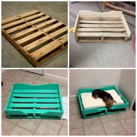 40+ Diy Pallet Dog Bed Ideas • 1001 Pallets Katt Diy, Pallet Dog Beds, Dog House Diy, Diy Dog Bed, Dog Rooms, Dog Bed Large, Dog Hacks, Wood Pallet Projects, Dog Daycare