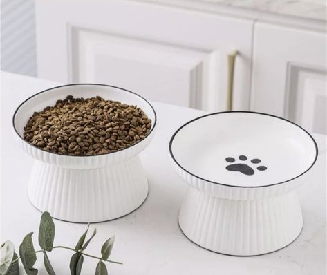 Ceramic Pet Bowl, Cat Ceramic, Cat Food Bowl, Feeding Time, Pet Feeder, Cat Feeding, Cute Pet, Modern Light Fixtures, Food Bowl