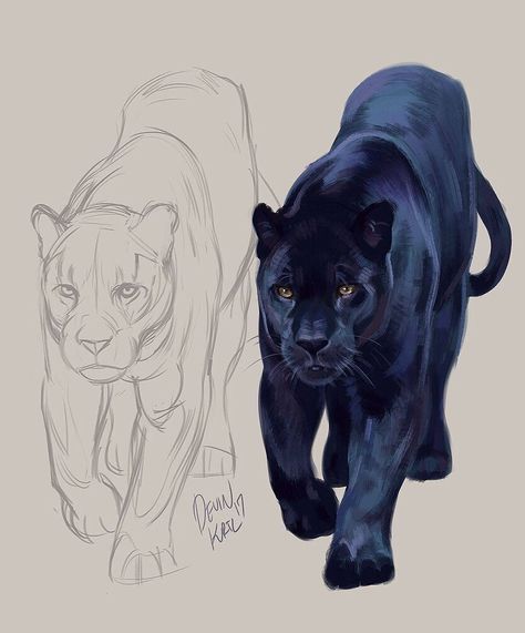 Black Panther Drawing, Leopard Drawing, رسم كاريكاتير, Panther Art, Animal Drawings Sketches, Animal Drawing, Arte Inspo, Animal Sketches, White Tiger