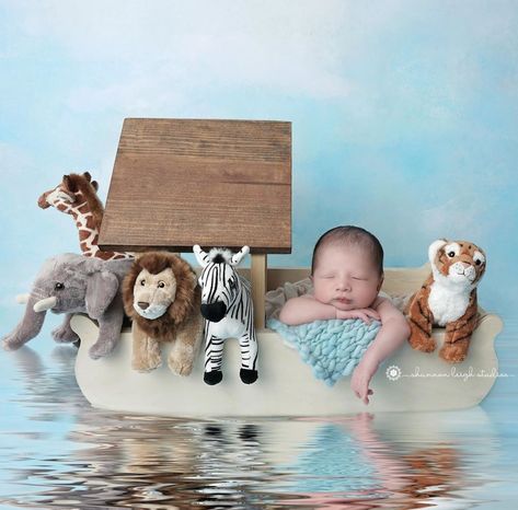 Newborn Baby Photo Ideas, Photo Ideas Newborn, Baby Nursery Murals, Noahs Ark Nursery, Christening Photography, Baby Photo Ideas, Noahs Ark Baby Shower, Diy Newborn Photography, Foto Newborn