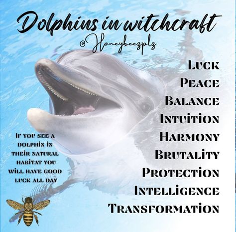 Luck - seeing a dolphin while out is good luck - place a charm on you for luck! Peace - an international sign of peace - programme a jewellery piece to remind you or someone else to keep the peace while wearing it Balance - if someone is working too hard or not putting enough effort in - carve their name, balance & a dolphin into a grey candle to help bring wisdom to the individual Intuition - if your being called to the dolphin it is guides telling you to trust your intuition and go on gut Spirit Animal Dolphin, Dolphin Spirit Animal, Dolphin Quotes, Grey Candle, Sign Of Peace, Gut Instinct, Dolphin Tale, Animal Meanings, Grey Candles