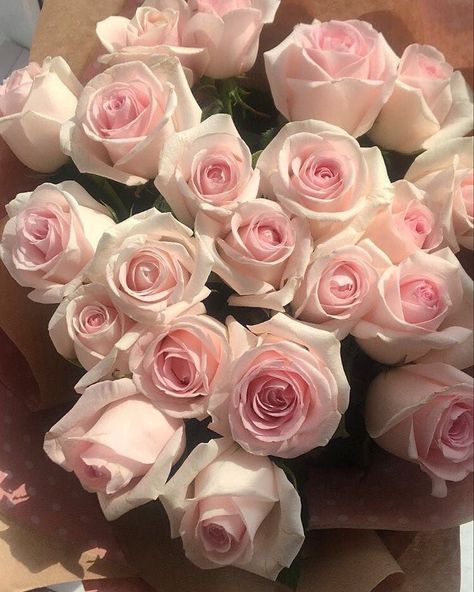 Wallpaper Rosa, Boquette Flowers, Light Pink Flowers, Briar Rose, Nothing But Flowers, Flower Therapy, Beautiful Bouquet Of Flowers, Pretty Plants, Everything Pink