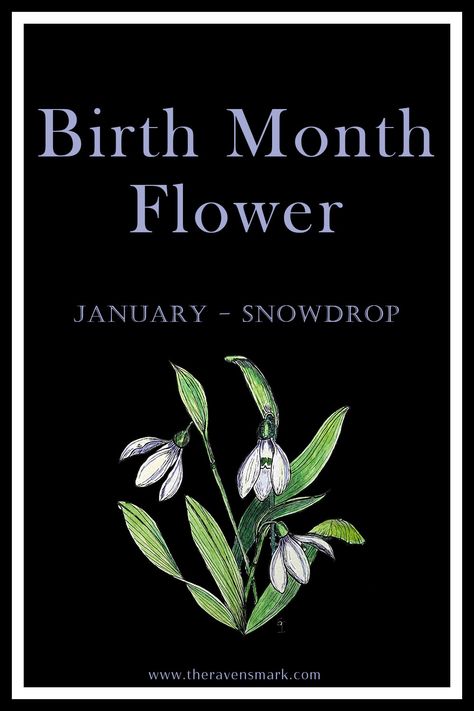 Sacred Flower Energy - Snowdrop Energy Symbols, Symbolic Art, Flower Meanings, Birth Month Flowers, Birth Month, New Beginnings, Energy, Meant To Be, Flowers