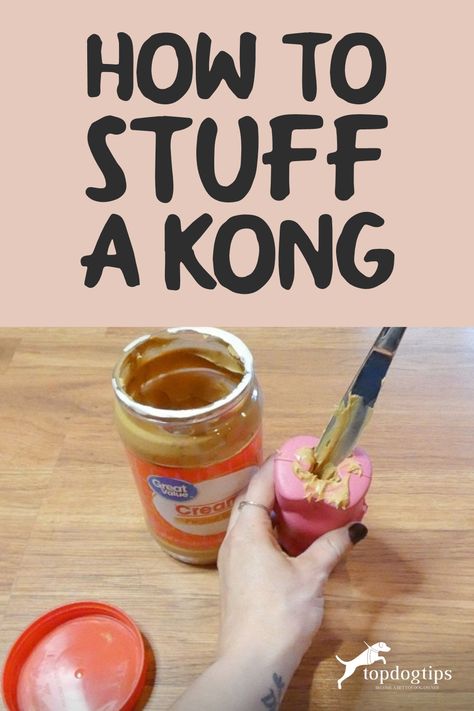 If you're wondering how to stuff a KONG dog toy, the answer is simple! All you need is a butter knife and a few ingredients from your kitchen. What To Put In A Kong Toy, Kong Dog Toys, Puppy Toys, Kong Toys, Easy Dog Treats, Dog Training Treats, Best Dog Toys, Cheap Toys, Vegetable Puree