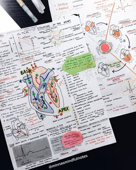 Nursing School Aesthetic Study, Study Biology, Nursing School Motivation, Medical School Life, Nurse Inspiration, Med School Motivation, Medical Student Study, Job Hiring, Medical School Motivation