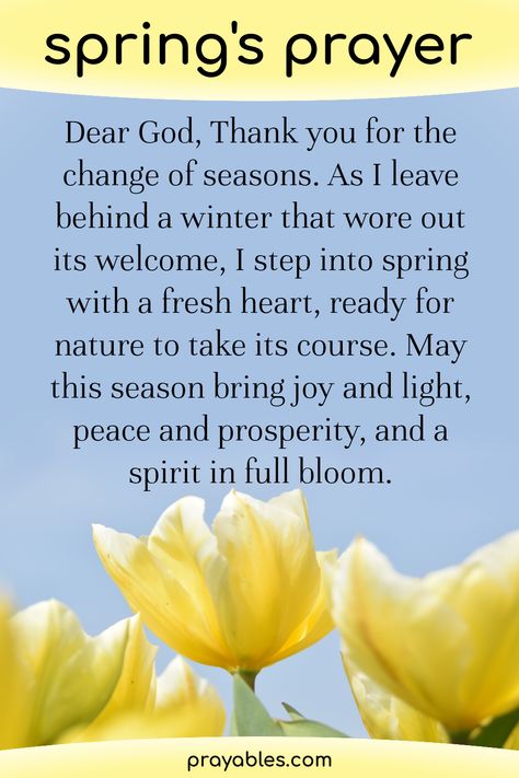 Happy spring prayer to remind you of God's grace with every new season. Refresh your spirit, today's prayer will get you there. For more prayers, blessings and favorite bible verse check out prayables.com Intercession Prayers, Teacher Prayer, Today's Prayer, Change Of Seasons, Spring Quotes, Morning Prayer Quotes, Beginning Of Spring, Bible Study Plans, New Beginning Quotes