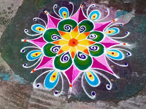 Colour Kolam Rangoli Patterns, Color Kolam Rangoli Designs, Colour Kolam Design, Modern Rangoli, Pongal Kolam Rangoli, Pongal Rangoli Design, Rangoli Designs Videos, Marghazhi Kolam, Diwali Kolam