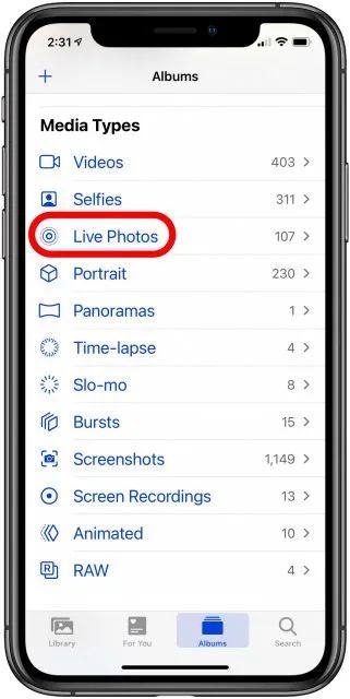 How to Make a GIF on iPhone from a Live Photo (2022 Update) Live Photo Video Iphone, Iphone Video, Gif Photo, Iphone Camera, Make A Video, Gif Pictures, Live Photo, Gif, Iphone