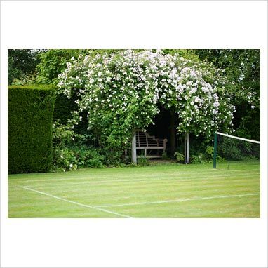 grass court Backyard Tennis Court, Grass Tennis Court, Tennis Court Backyard, Tennis Court Design, Orchard Design, Private Tennis Court, Bocce Ball Court, Sport Court, Garden Swing