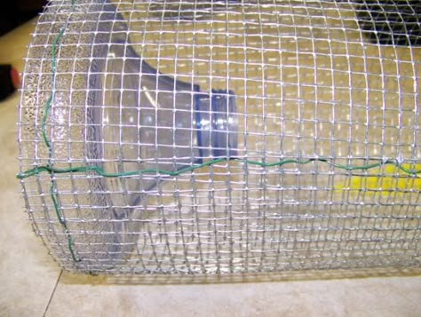 Minnow Trap Diy, Crawfish Traps, Minnow Trap, Fishing Line Knots, Fishing Traps, Crappie Fishing Tips, Pesca In Mare, Survival Fishing, Crappie Jigs