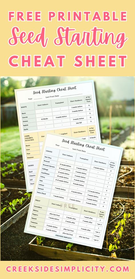 Do you struggle to figure out which seeds to start indoors, and when? Which seeds prefer to be direct sown? And when to transplant your seedlings outside?

This free printable seed starting cheat sheet will ensure that you have a successful vegetable garden each year!

FREE download! Seeds To Start Indoors, Starting Flowers From Seeds, When To Start Seeds Indoors, Seed Starting Calendar, When To Start Seeds, Start Seeds Indoors, Starting Seeds Indoors, Starting A Garden, Vegetable Gardening